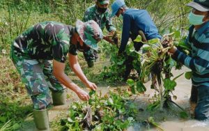 Ganggu Aliran Sungai, Satgas Citarum Harum Bersihkan Eceng Gondok