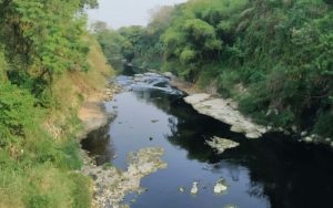 Sungai di Kota Cirebon Jadi Penyumbang Terbesar Pencemaran Lingkungan, DLH Ungkap Fakta Ini