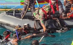 Basarnas Nias Temukan Nelayan Simeulue yang Tenggelam di Laut