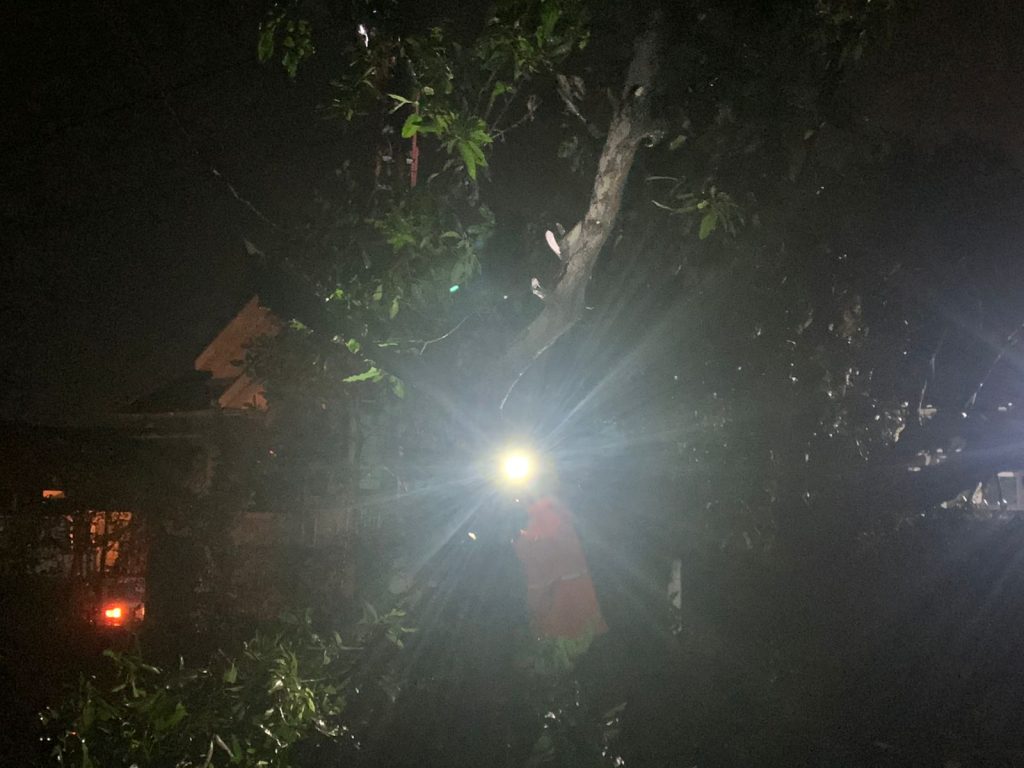 Hujan Angin Bikin Pohon Tumbang di Munjul Jaya Purwakarta
