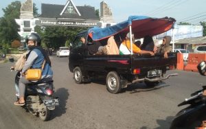 Banyak Warga di Purwakarta yang Berlibur Pakai Pick Up, Polisi Bilang Begini