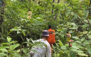 Basarnas Nias Temukan Warga Aceh Hilang di Hutan, Begini Kondisinya