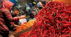Pedas! Harga Cabai di Cianjur Kembali Naik Capai Rp80.000 per Kilogram