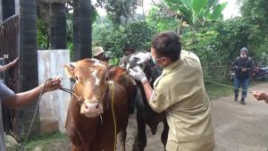 Pemkab Purwakarta Terjunkan Puluhan Petugas Pemeriksa Hewan