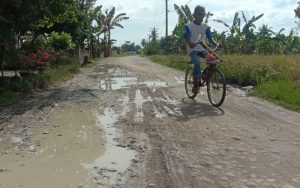 Rusak Parah, Warga Desak Gubernur Sumut Perbaiki Jalan dan Jembatan Penghubung Serdang Bedagai-Batubara