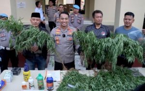 Polisi Tetapkan Seorang Tersangka Pemilik Ladang Ganja di Gunung Karuhun Cianjur