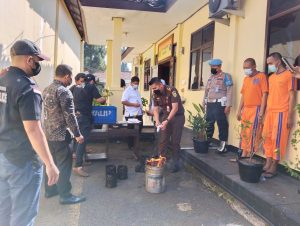 Belasan Bantang Pohon Ganja Dimusnahkan Polisi di Purwakarta