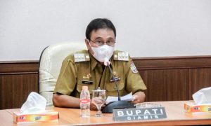 Tanggapi Penghapusan Tenaga Honorer, Bupati Ciamis; Mereka Sangat Membantu  