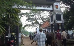 Setelah Dua Pekan Lebih Tutup, Pasar Ingon-ingon Ciwareng Purwakarta Kembali Dibuka