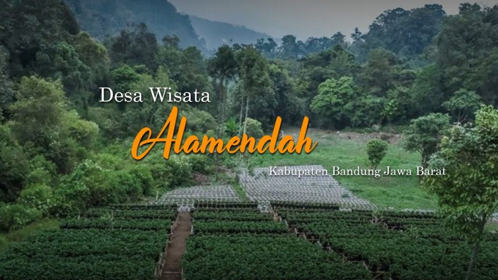 Memerah Susu Sapi hingga Mengolah Kopi di Desa Wisata Alamendah Rancabali Bandung