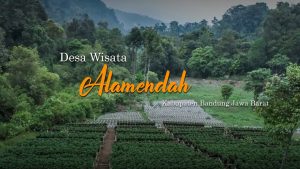 Memerah Susu Sapi hingga Mengolah Kopi di Desa Wisata Alamendah Rancabali Bandung