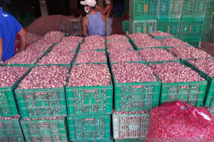 Harga Bawang Merah Tembus Rp45.000 per Kg, Komoditas Pangan Ikut Naik