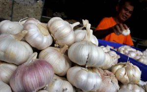Harga Bawang di Kabupaten Cirebon Merangkak Naik, Ternyata Ini Penyebabnya