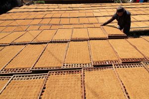 Permintaan Petani Tembakau di Bandung kepada Presiden Prabowo