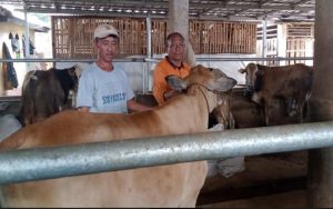 Kumpulkan Uang Koin, K5 Pasar Induk Cianjur Bisa Kurban 4 Ekor Sapi