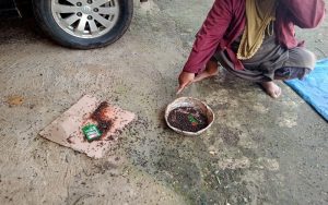 Warga di Cilaku Cianjur Keluhkan Peternakan Ayam Telur: Bau dan Banyak Lalat!