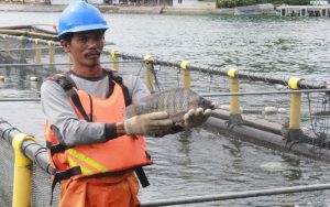 Dukung Perekonomian di Indonesia, Regal Spring Kembali Raih Sertifikat ASC ke-4