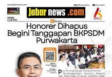 Tanggapan BKPSDM Purwakarta Soal Honorer Dihapus