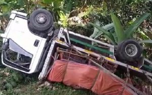 Begini Kronologi Truk Muatan Genting yang Masuk Jurang di Tanjakan Rasamala Bogor