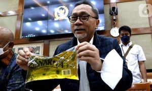 Ini Alasan Mendag Zulhas Usulkan Kenaikan HET Minyakita
