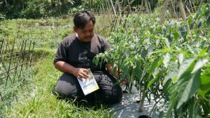 Modal Nekat, Pemuda Desa Asal Purwakarta Ini Sukses Jadi Petani