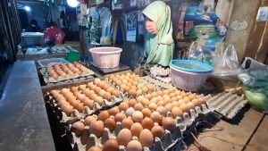 Harga Telur di Purwakarta Masih Mencapai Rp30 Ribu Rupiah Per Kilogram