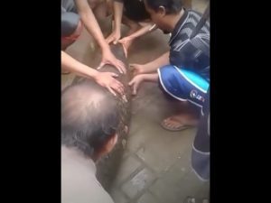 Video Viral! Ikan Besar Muncul Gegerkan Warga Garut Usai Terjangan Banjir