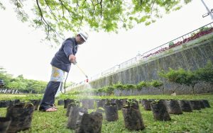 HUT Jabar ke-77, Puluhan Ribu Bibit Cabai dan Bawang Merah Disalurkan ke Empat Daerah