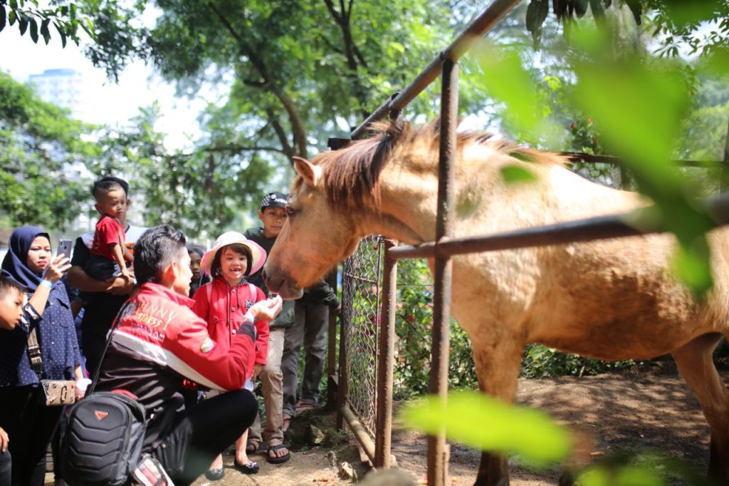 Riwayatmu Kini:  Kebun Binatang Bandung