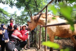 Riwayatmu Kini:  Kebun Binatang Bandung