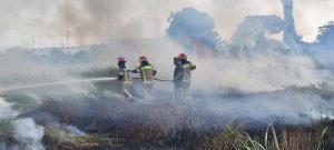 Kebakaran Lahan di Purwakarta, Berawal dari Bakar Sampah