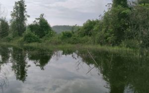 Mitos Sosok Buaya Putih dan Istana Gaib di Danau Laut Dendang Serdang Bedagai