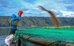 Keren, RSI Jadi Bagian dari Blue Food Partnership
