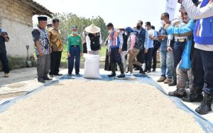 Soal Tapal Desa, Ridwan Kamil: Digitalisasi Lumbung Padi Antisipasi Krisis Pangan