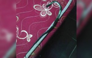 Warga di Tasikmalaya Temukan Ular dan Tujuh Jarum di Atas Kasurnya, Sesepuh Bilang itu Sihir?