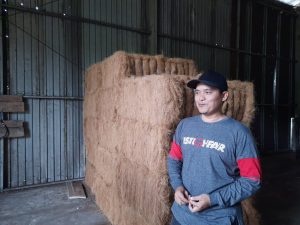 Keren Pangandaran Jadi Salah Satu Supplayer Sabut Kelapa Untuk Kursi Pesawat dan Mobil Mewah