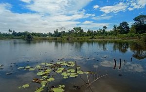 Dipenuhi Cerita Mistis, Danau Laut Dendang Serdang Bedagai akan Dijadikan Objek Wisata