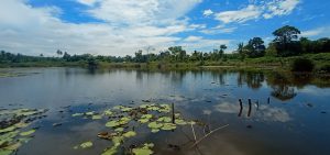 Cerita Mistik Danau Laut Dendang Serdang Bedagai Buat Bulu Kuduk Berdiri