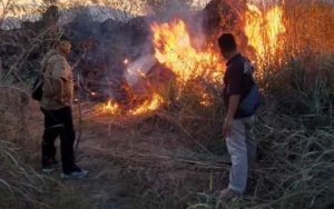 Pasca Kebakaran, Patroli di Gunung Ciremai Diperketat