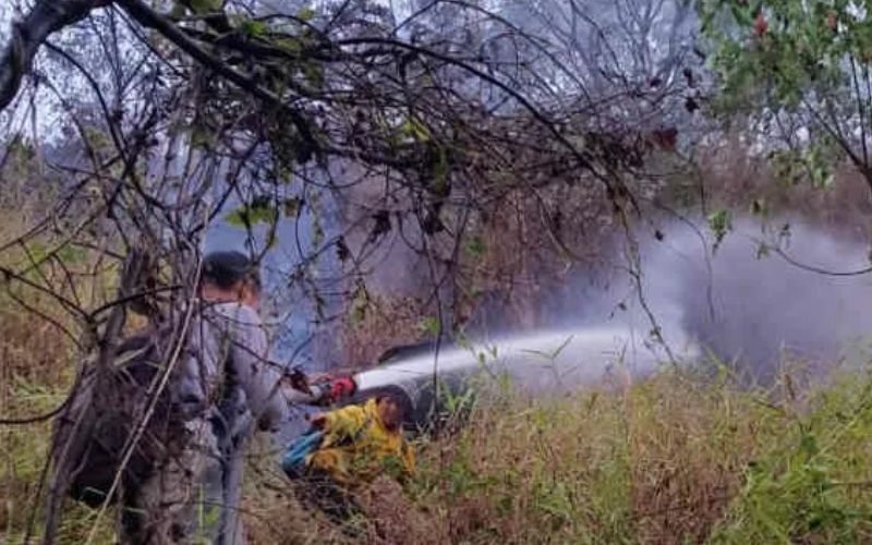 Kebakaran Kembali Terjadi di Gunung Ciremai Kuningan, Ini Kata BTNGC