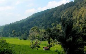 Penguasa Gunung Sawal Teror Pemukiman Penduduk di Kawali Ciamis, Warga Diminta Waspada