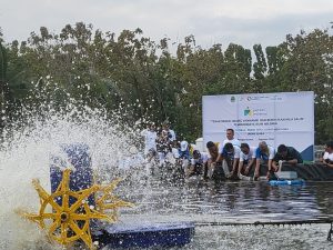 Pulihkan Ekonomi Nasional, bank bjb dan Pemprov Jabar Tebar Benih Udang Vaname di Pangandaran
