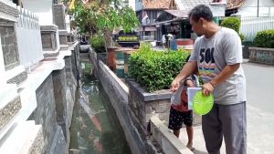 Antisipasi Jentik Nyamuk, Warga Purwakarta Sulap Selokan Jadi Kolam Ikan.