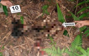 Heboh! Mayat Perempuan di Nias Selatan Diduga Korban Pembunuhan, Tubuhnya Penuh Luka