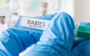 Diskanak Garut Bagikan Vaksin Rabies Gratis untuk Hewan Peliharaan