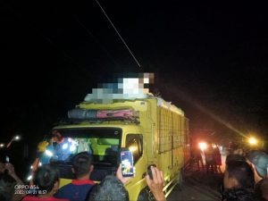 Sopir dan Kernet Truk di Serdang bedagai Tewas Tersengat Aliran Listrik Tegangan