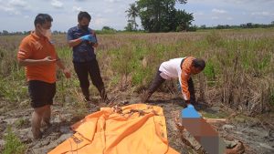 Tengkorak Perempuan Gegerkan Warga Serdang Bedagai
