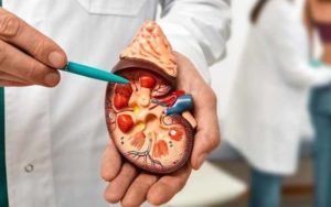 Duh! Ada 25 Kasus Gangguan Ginjal Akut di Jabar, 15 Anak Meninggal Dunia