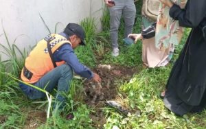 Pembantaian Hewan Kembali Terjadi di Tasikmalaya, Kali Ini Ada Kuburan Masal Kucing di Pasar Indihiang