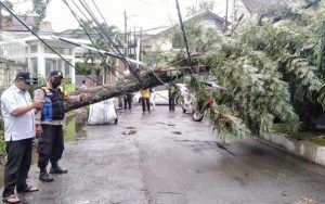 DPKP Kota Bandung Minta Jangan Parkir Motor di Bawah Pohon, Jika…